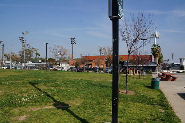 DSC00309
