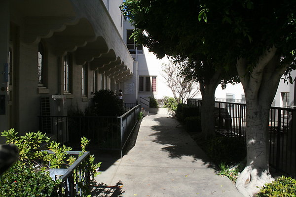 IMG 0056