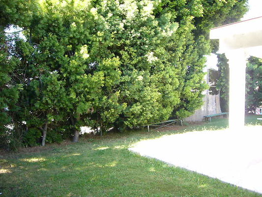 P1110071