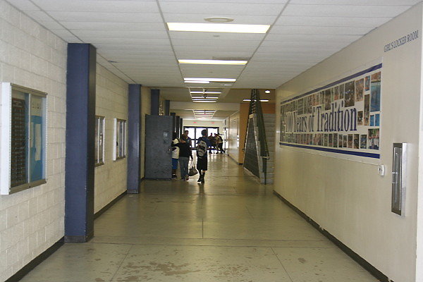 IMG 0313