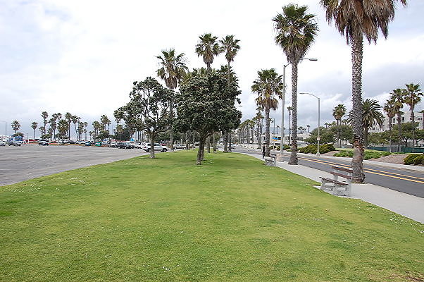 DSC 0317