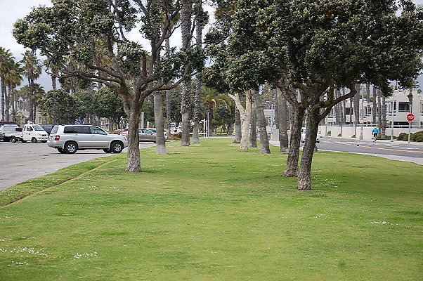 DSC 0319