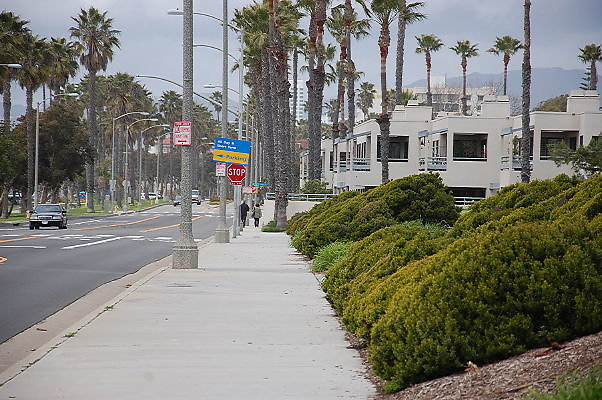 DSC 0311