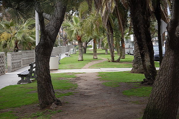 DSC 0325