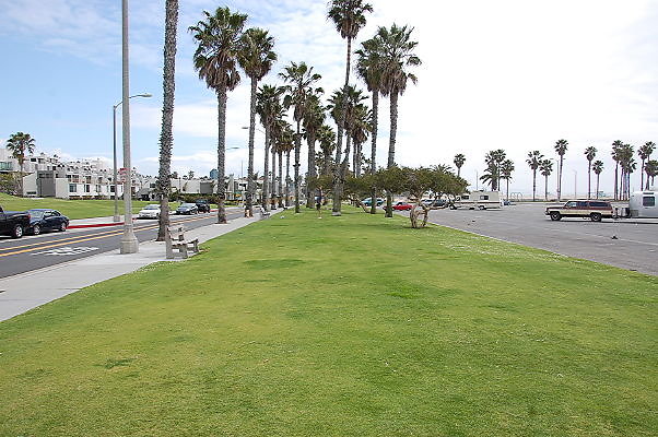 DSC 0316