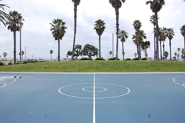 DSC 0299