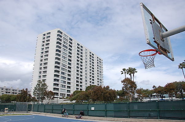 DSC 0305
