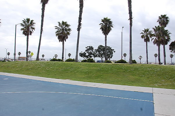DSC 0291