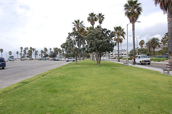 DSC 0320