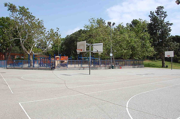 DSC 0003