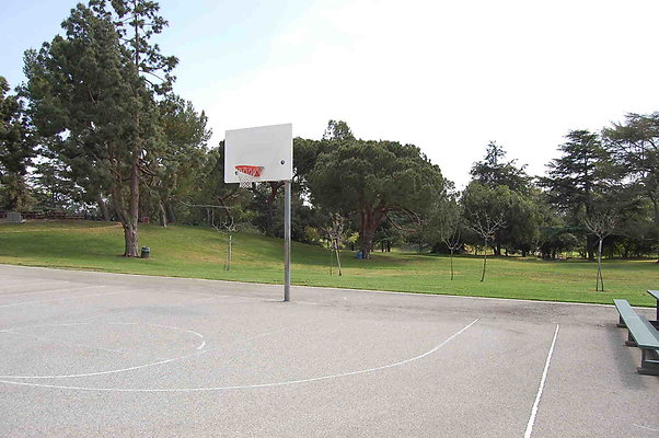 DSC 0025