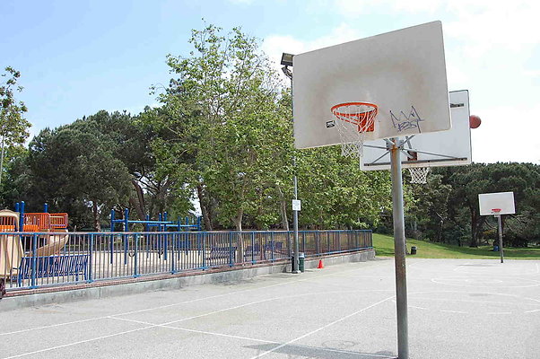 DSC 0010