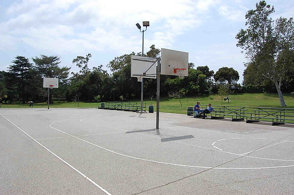 DSC 0009