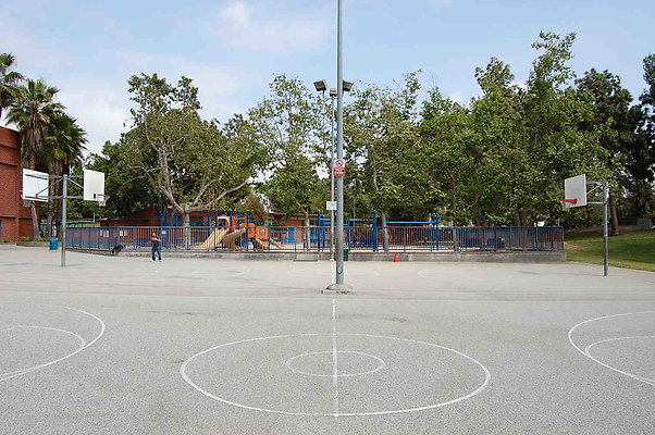 DSC 0024