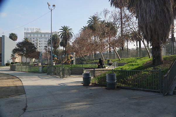 DSC05683