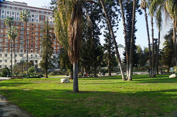 DSC05738