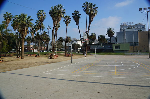 DSC05704