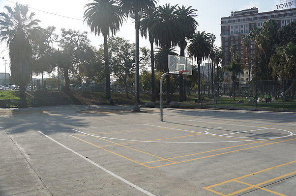 DSC05695