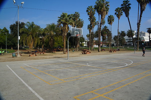 DSC05705