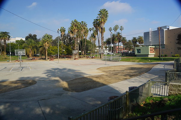 DSC05682