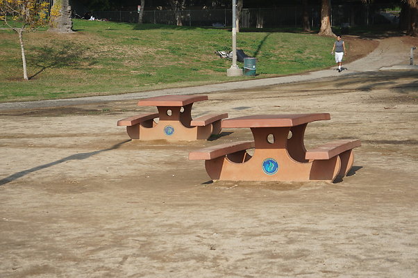 DSC05726