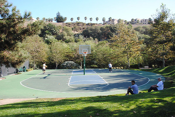 DSC 0087