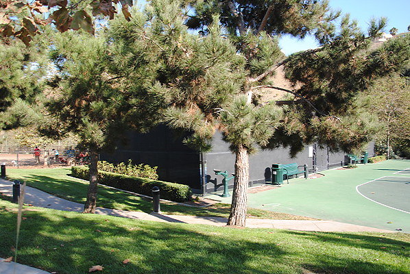 DSC 0086