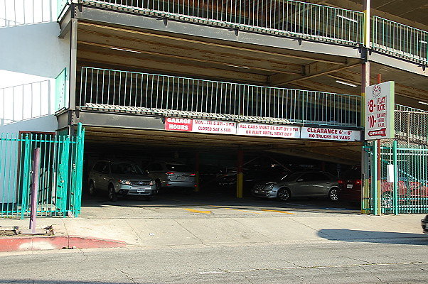 DSC 0061