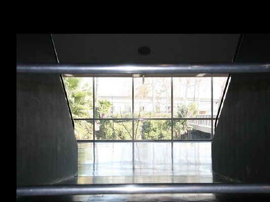 IMG 0254