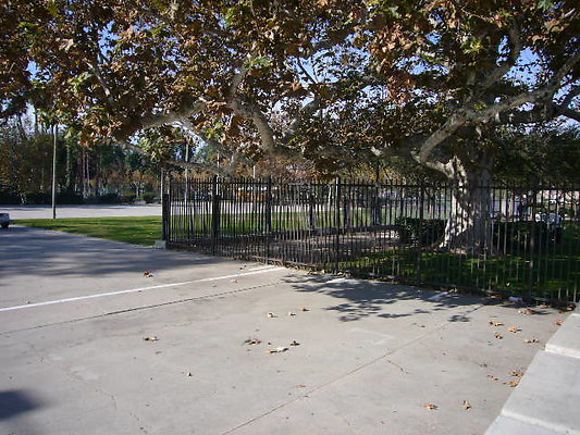 P1110599