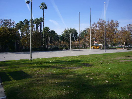 P1110600