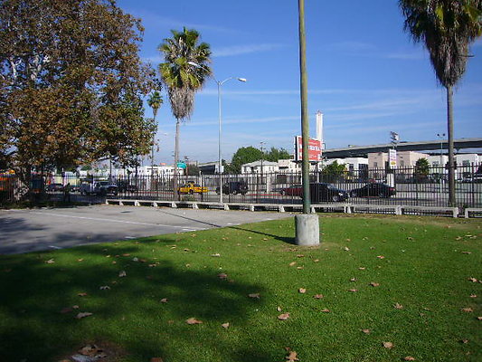 P1110593