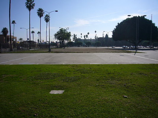 P1110589