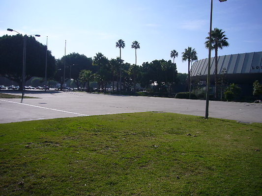 P1110590