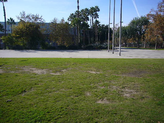 P1110604