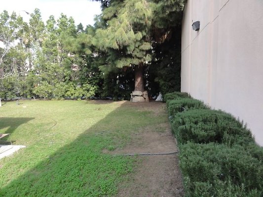 DSC07013