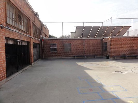 DSC06981