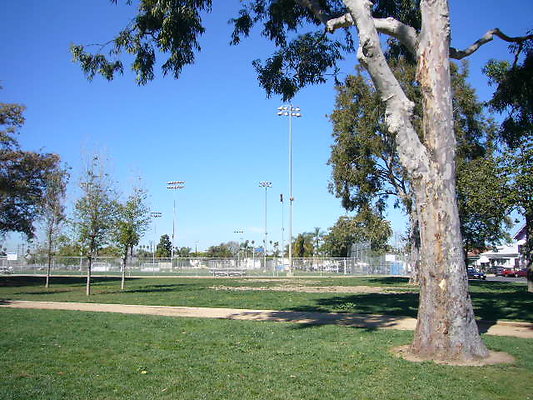 P1080550