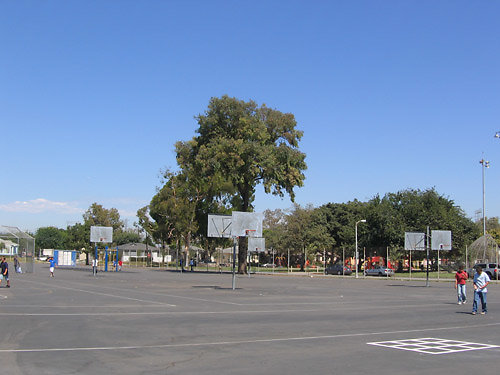 Gompers-2