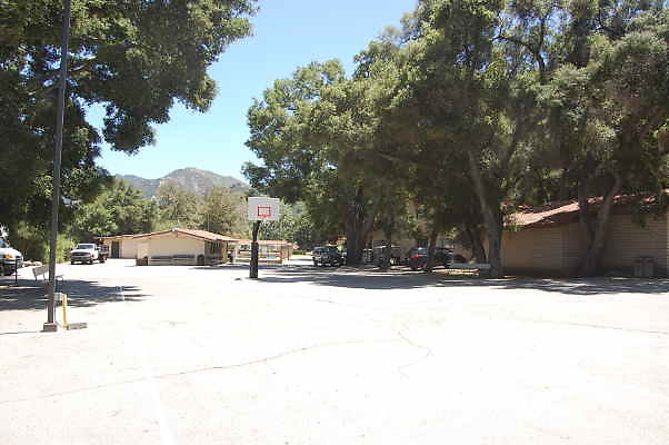 DSC 0053