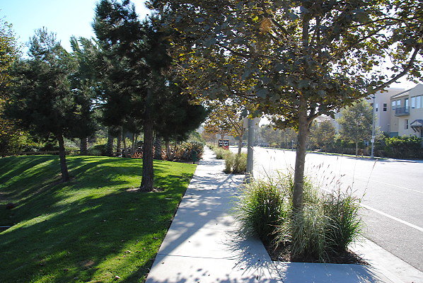 DSC 0089