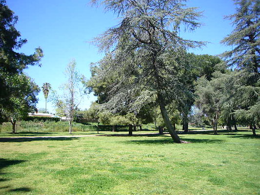 P1080733