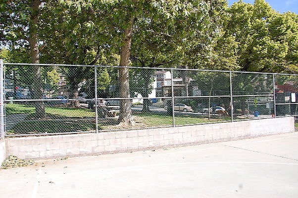 DSC 0146
