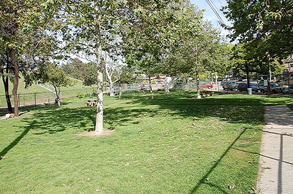 DSC 0178