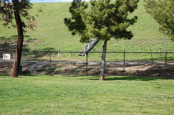DSC 0174