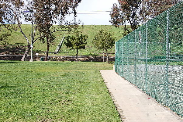 DSC 0165