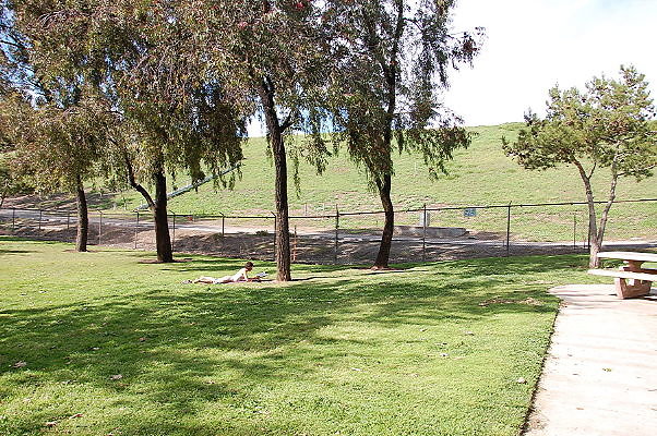 DSC 0183