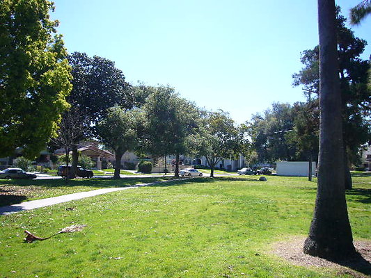 P1080614
