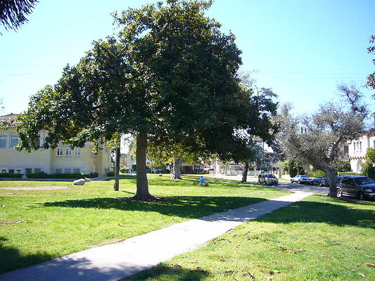 P1080612