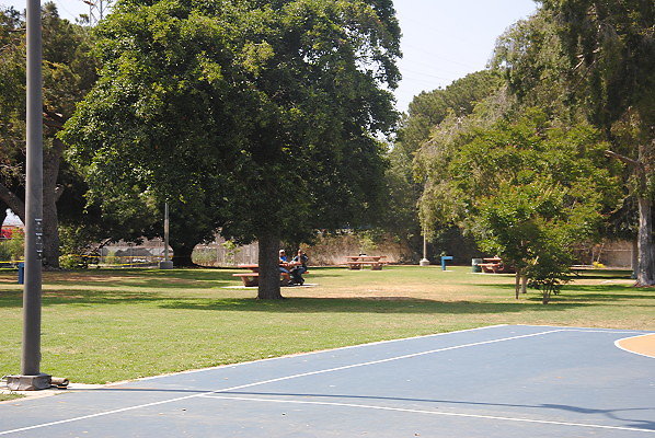 DSC 0351